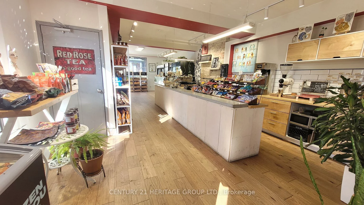 42, Dewson, Palmerston-Little Italy, Toronto