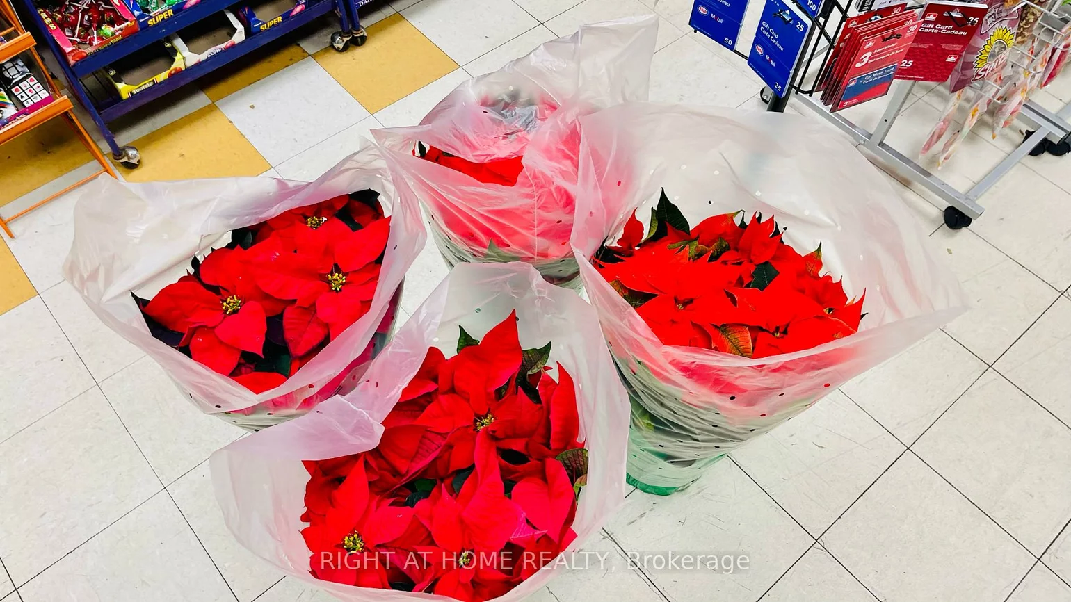 33, The Links, St. Andrew-Windfields, Toronto