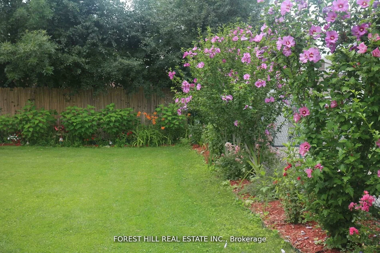 273, Sheppard, Lansing-Westgate, Toronto