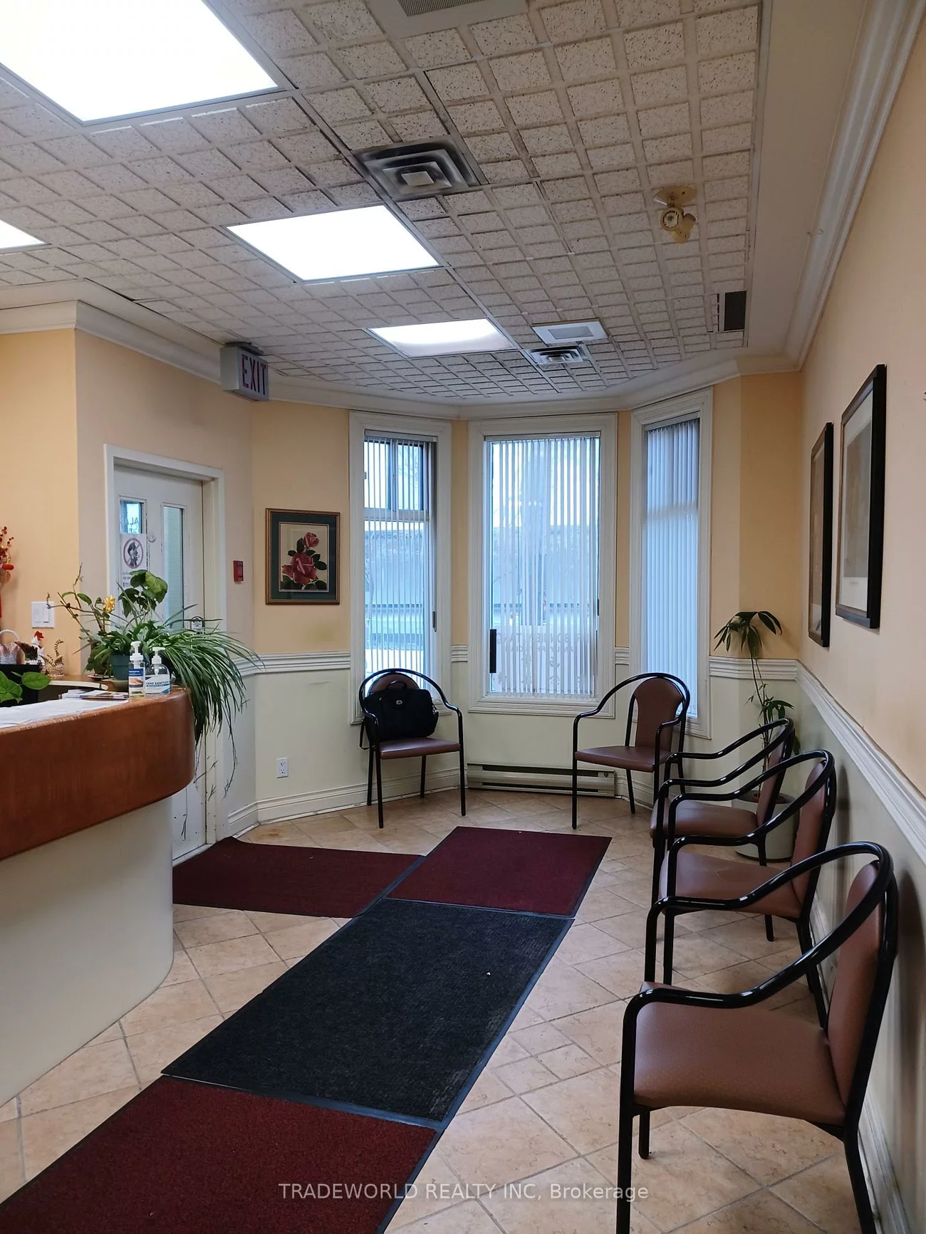 110, Beverley, Kensington-Chinatown, Toronto