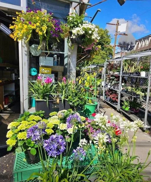 1364, Bathurst, Wychwood, Toronto