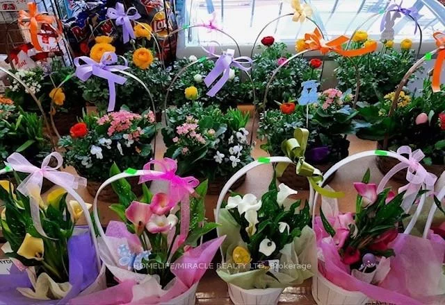 1364, Bathurst, Wychwood, Toronto