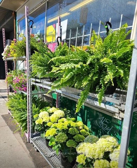 1364, Bathurst, Wychwood, Toronto