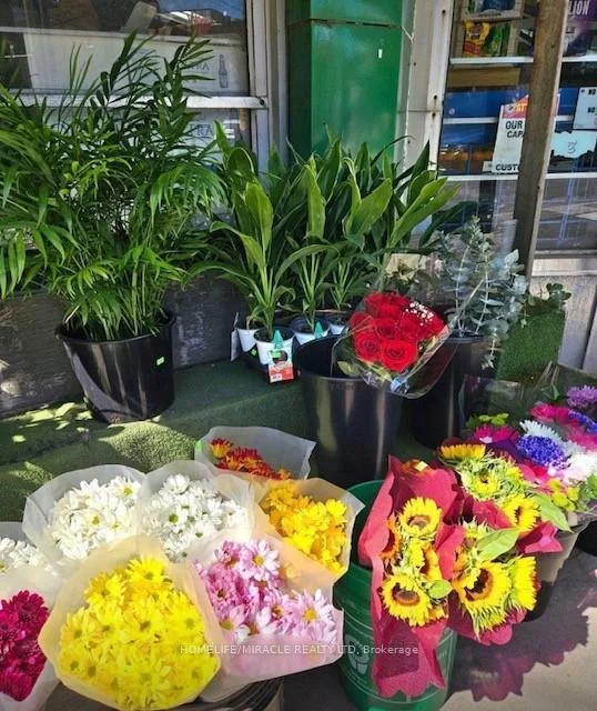 1364, Bathurst, Wychwood, Toronto