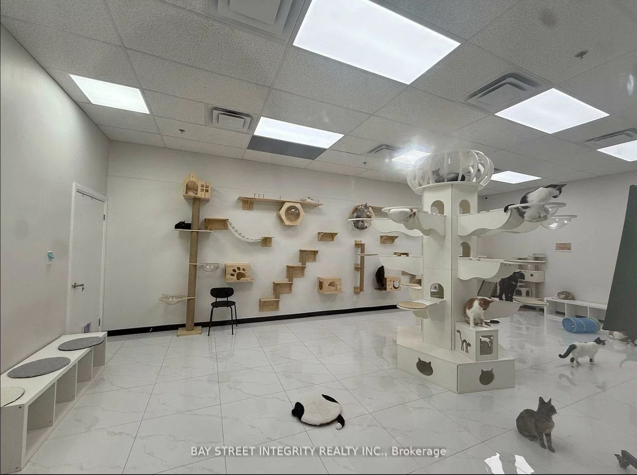 327 - 333, Queen, Waterfront Communities C1, Toronto