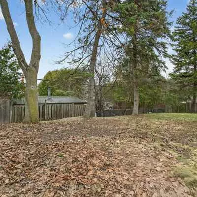 Commercial for sale, 298, Newton, Newtonbrook East, Toronto