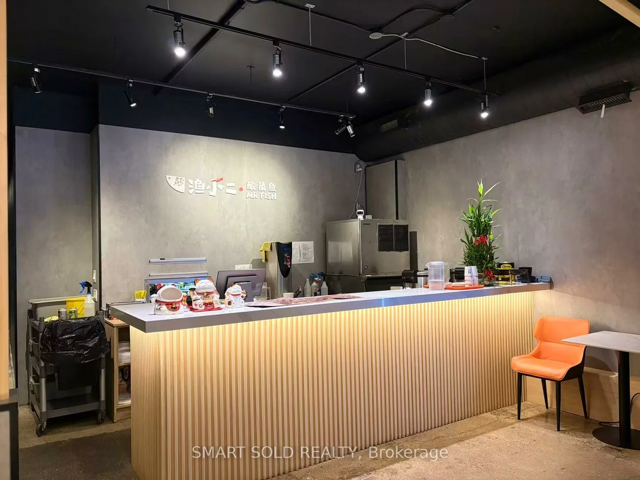 333, Spadina, Kensington-Chinatown, Toronto