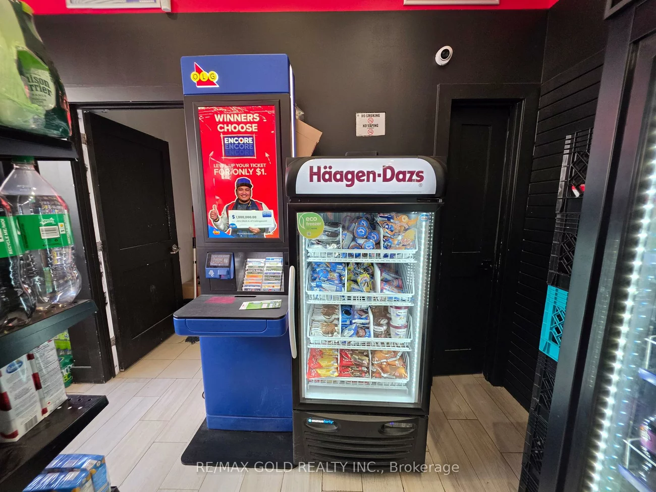 142, Avenue, Casa Loma, Toronto