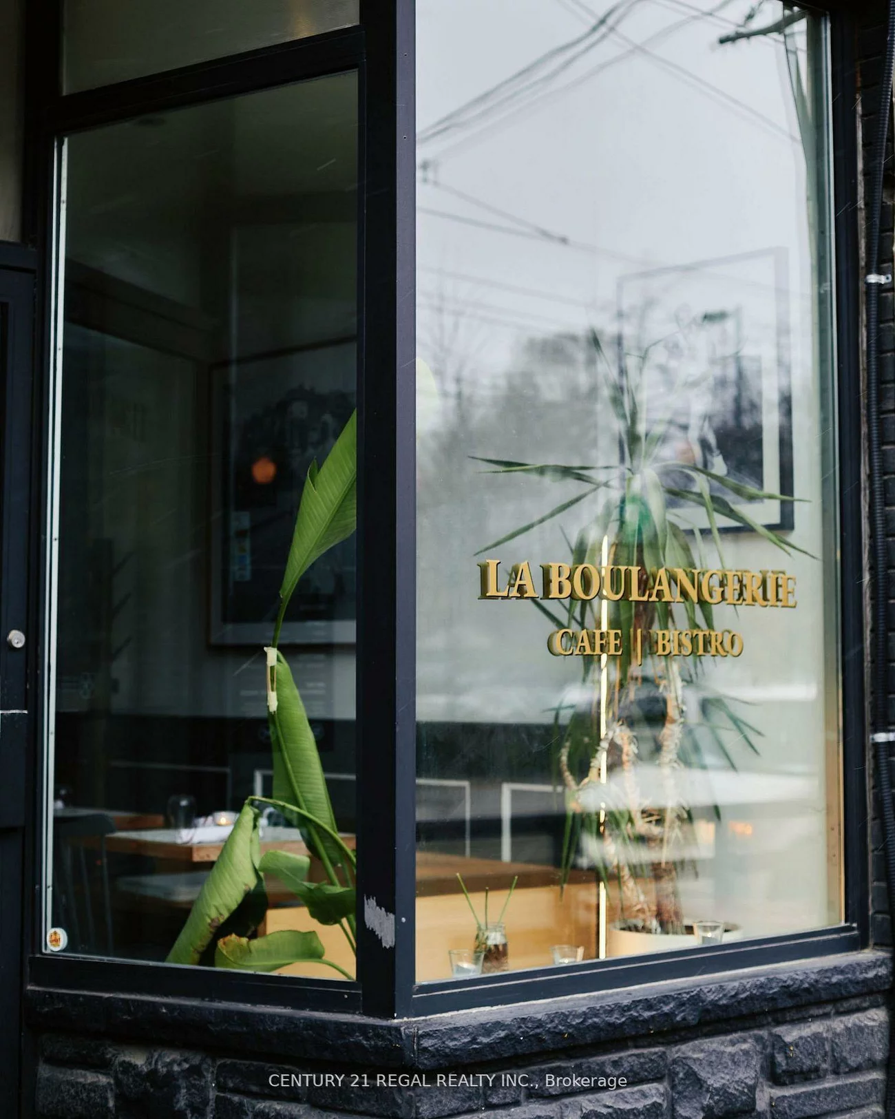1134, Dundas, Trinity-Bellwoods, Toronto