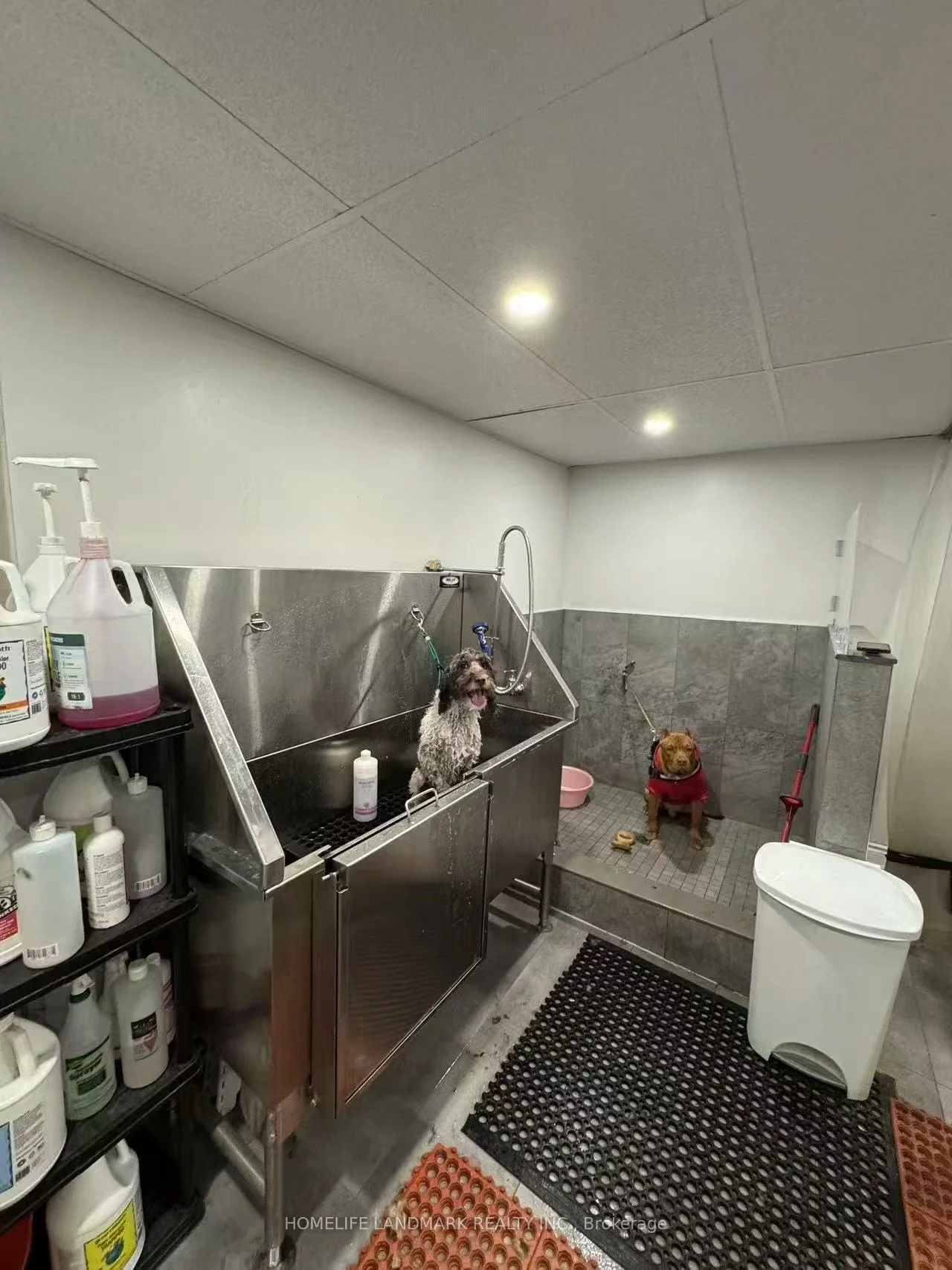 4140, Bathurst, Clanton Park, Toronto