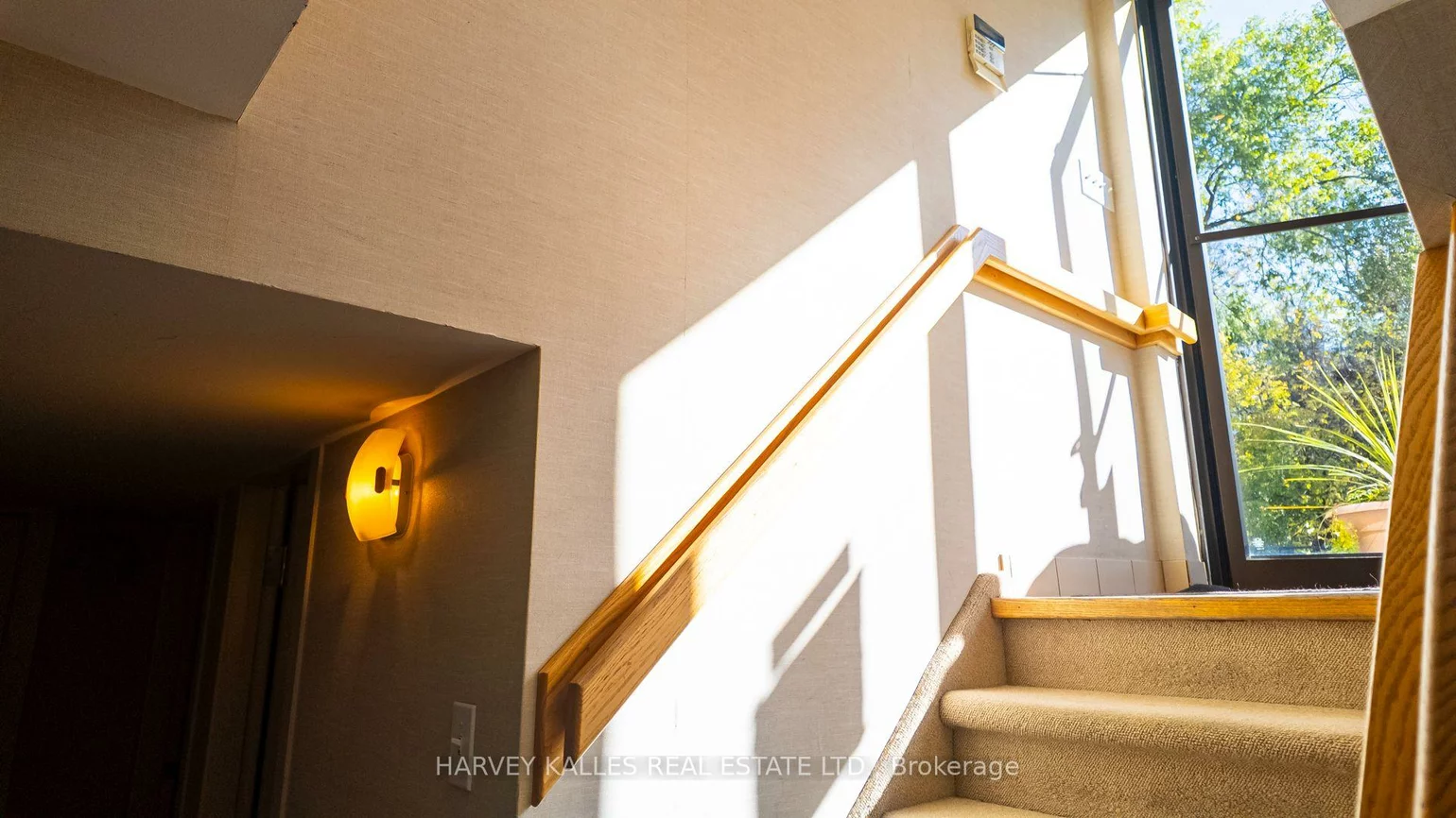 137, Sheppard, Willowdale East, Toronto