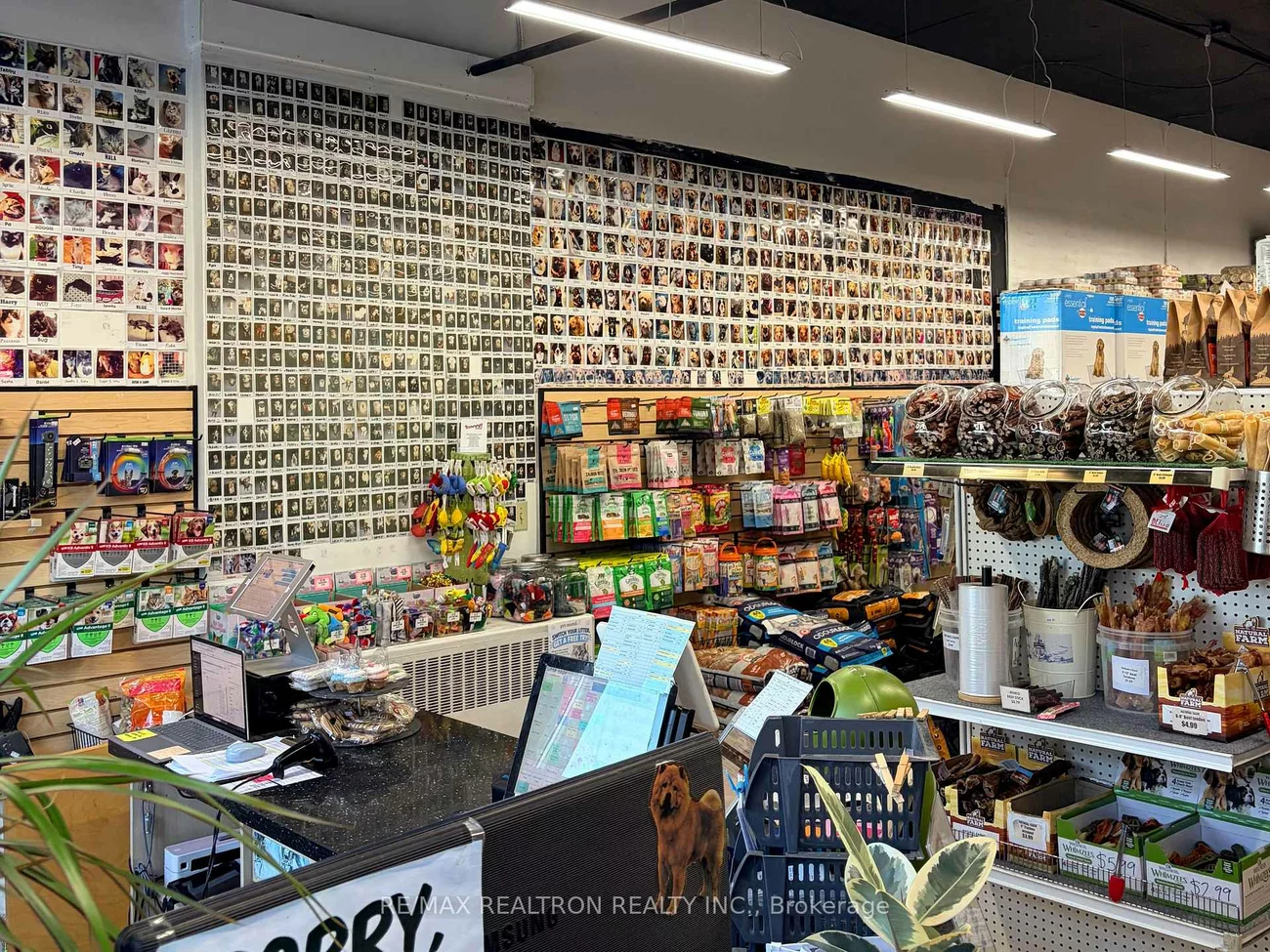 1500, Bathurst, Humewood-Cedarvale, Toronto