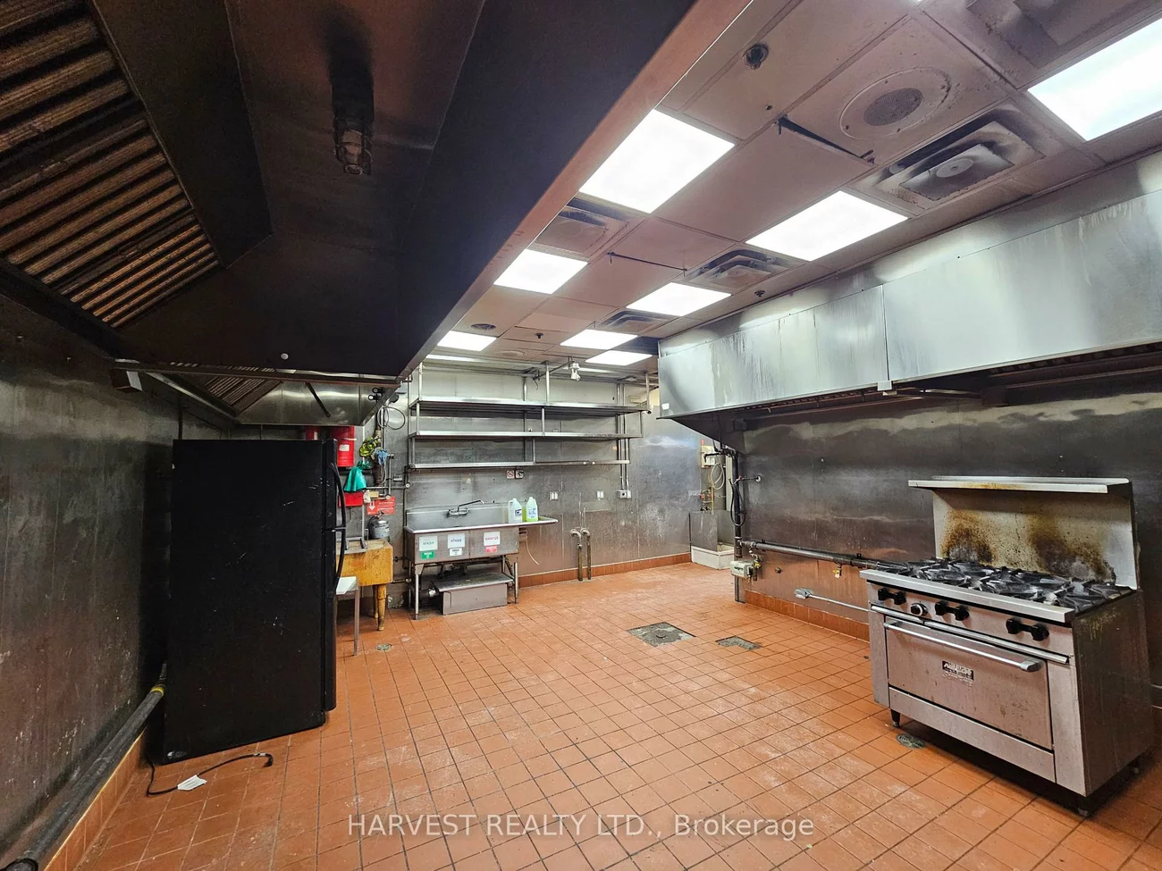 8, Glen Watford, Agincourt South-Malvern West, Toronto