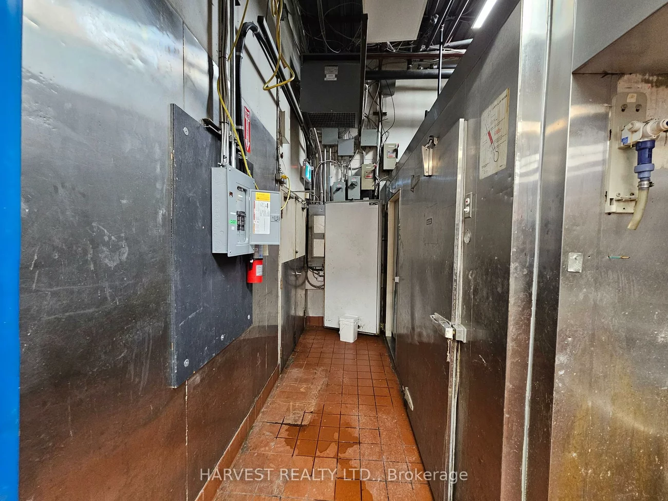 8, Glen Watford, Agincourt South-Malvern West, Toronto