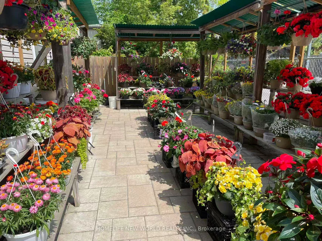 437, Jones, Blake-Jones, Toronto