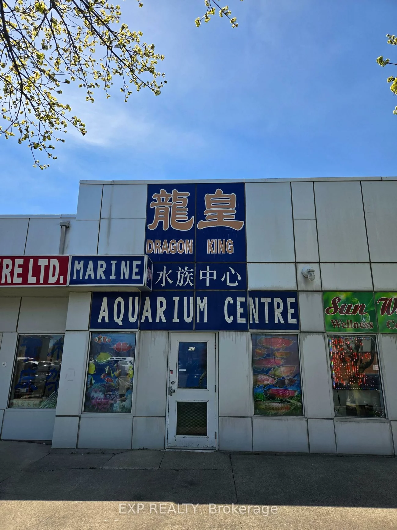 4779, Steeles, Milliken, Toronto