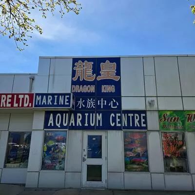 Commercial for sale, 4779, Steeles, Milliken, Toronto