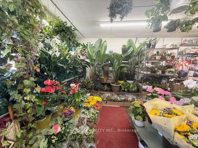2781, St. Clair, O'Connor-Parkview, Toronto
