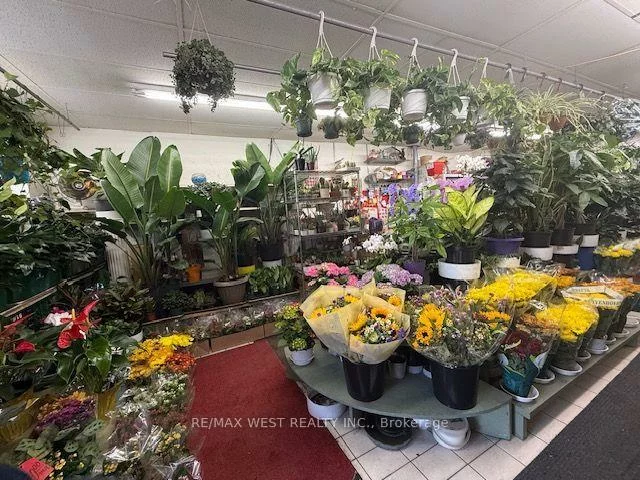2781, St. Clair, O'Connor-Parkview, Toronto