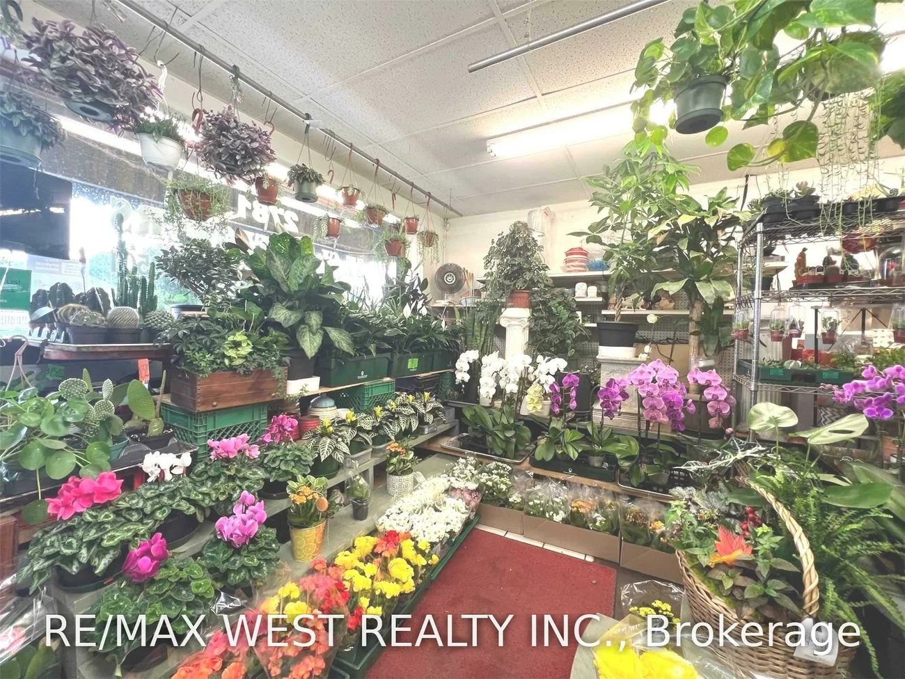 2781, St. Clair, O'Connor-Parkview, Toronto