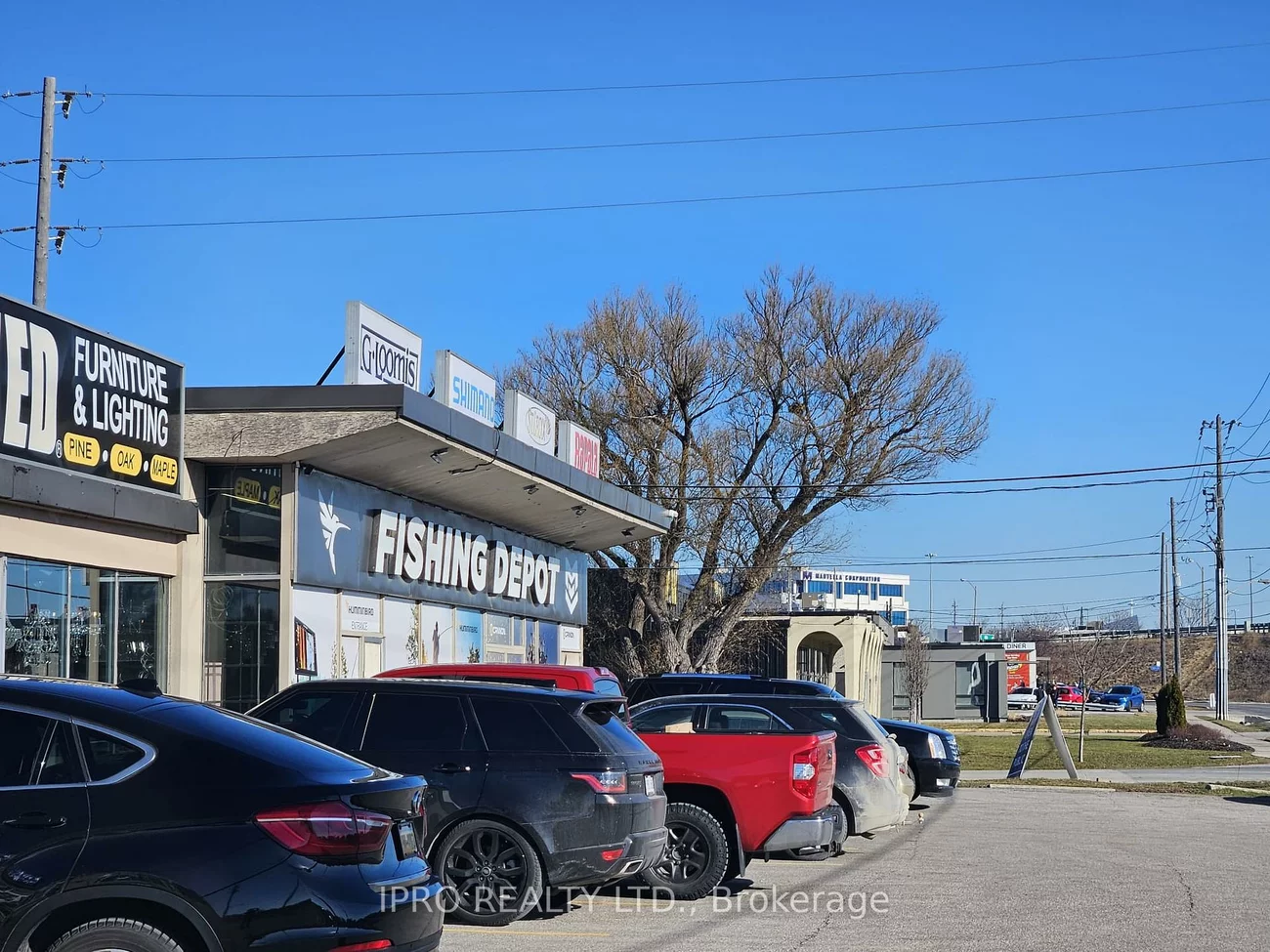24, Ronson, West Humber-Clairville, Toronto