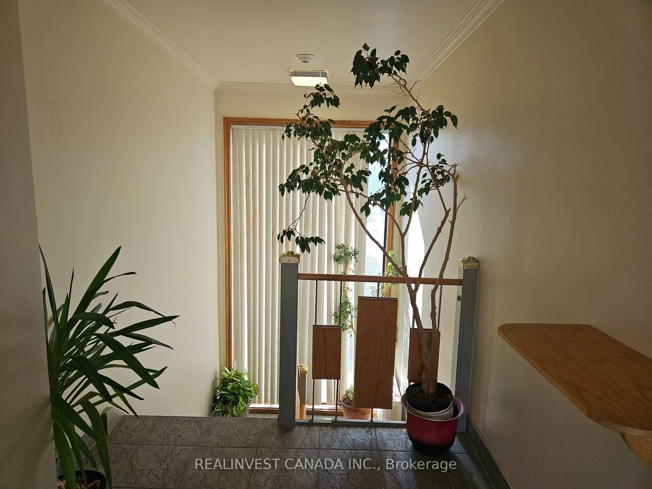795, Wilson, Downsview-Roding-CFB, Toronto