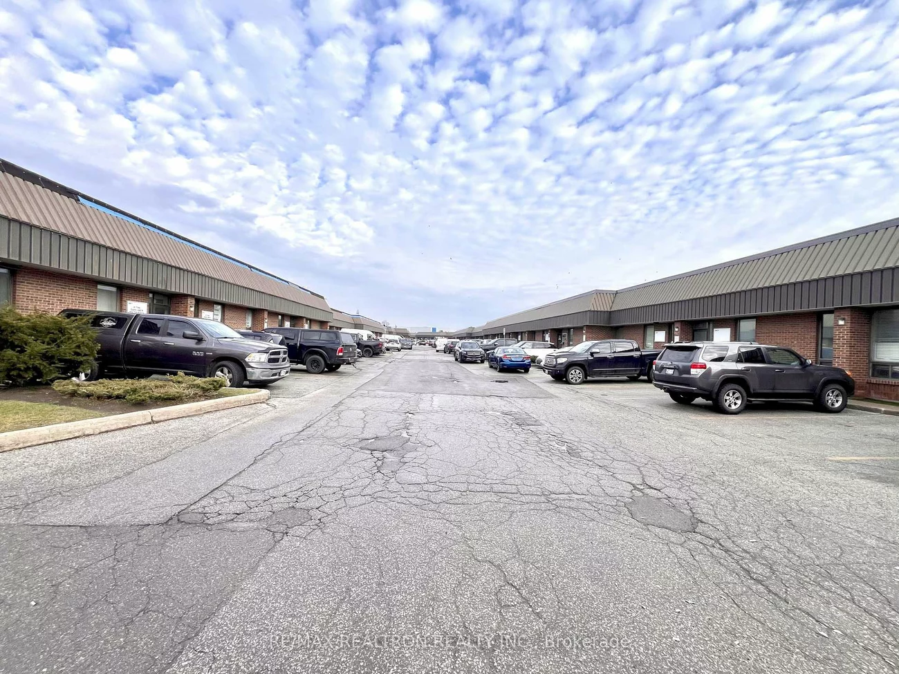 101, Toro, York University Heights, Toronto