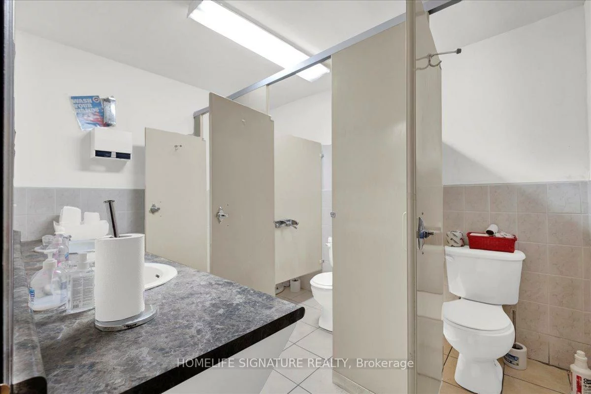 66, Toro, York University Heights, Toronto