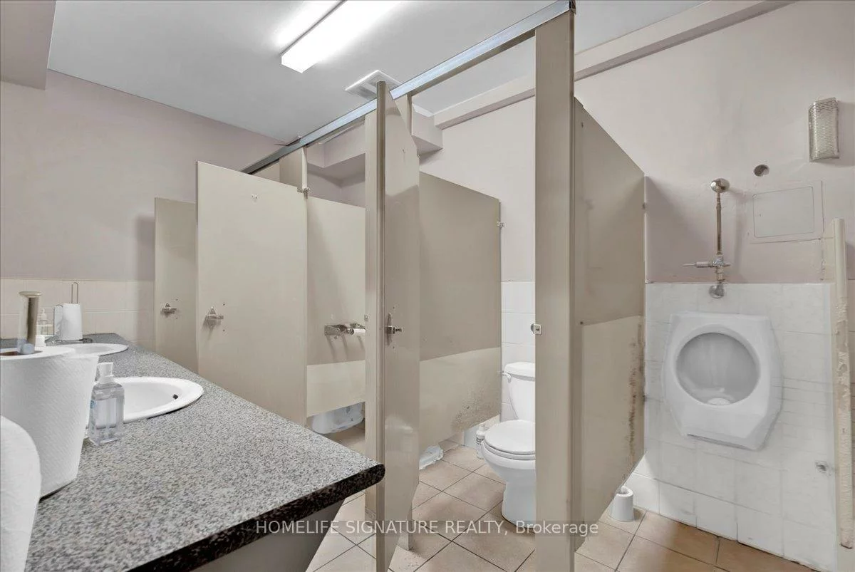 66, Toro, York University Heights, Toronto