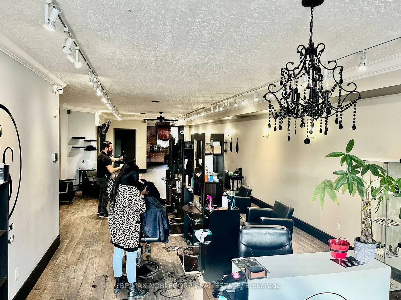 734, Wilson, Downsview-Roding-CFB, Toronto