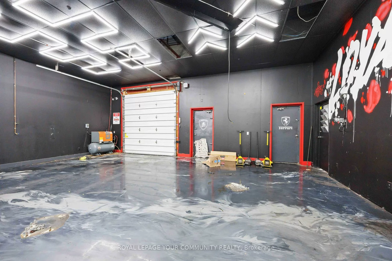 37, Kodiac, York University Heights, Toronto