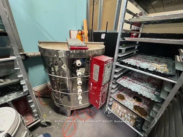 11, Kodiak, York University Heights, Toronto