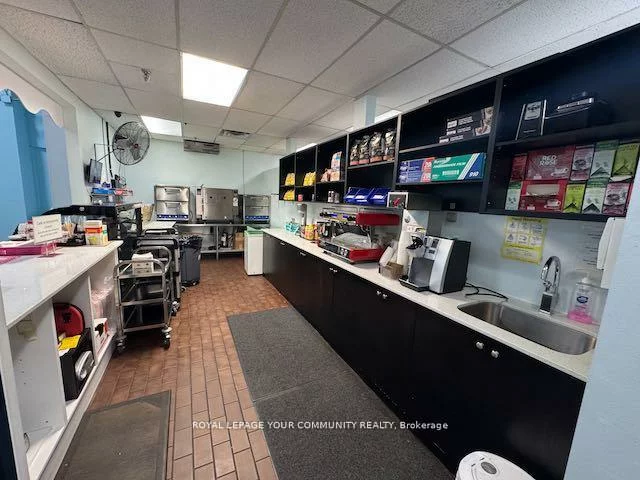 11, Kodiak, York University Heights, Toronto