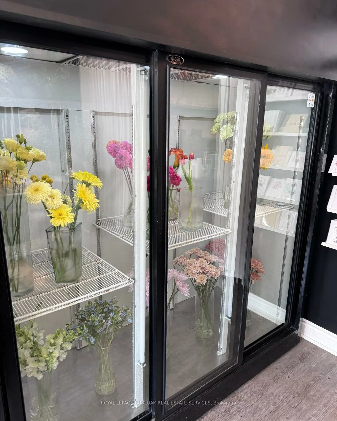 3130, Dundas, Junction Area, Toronto