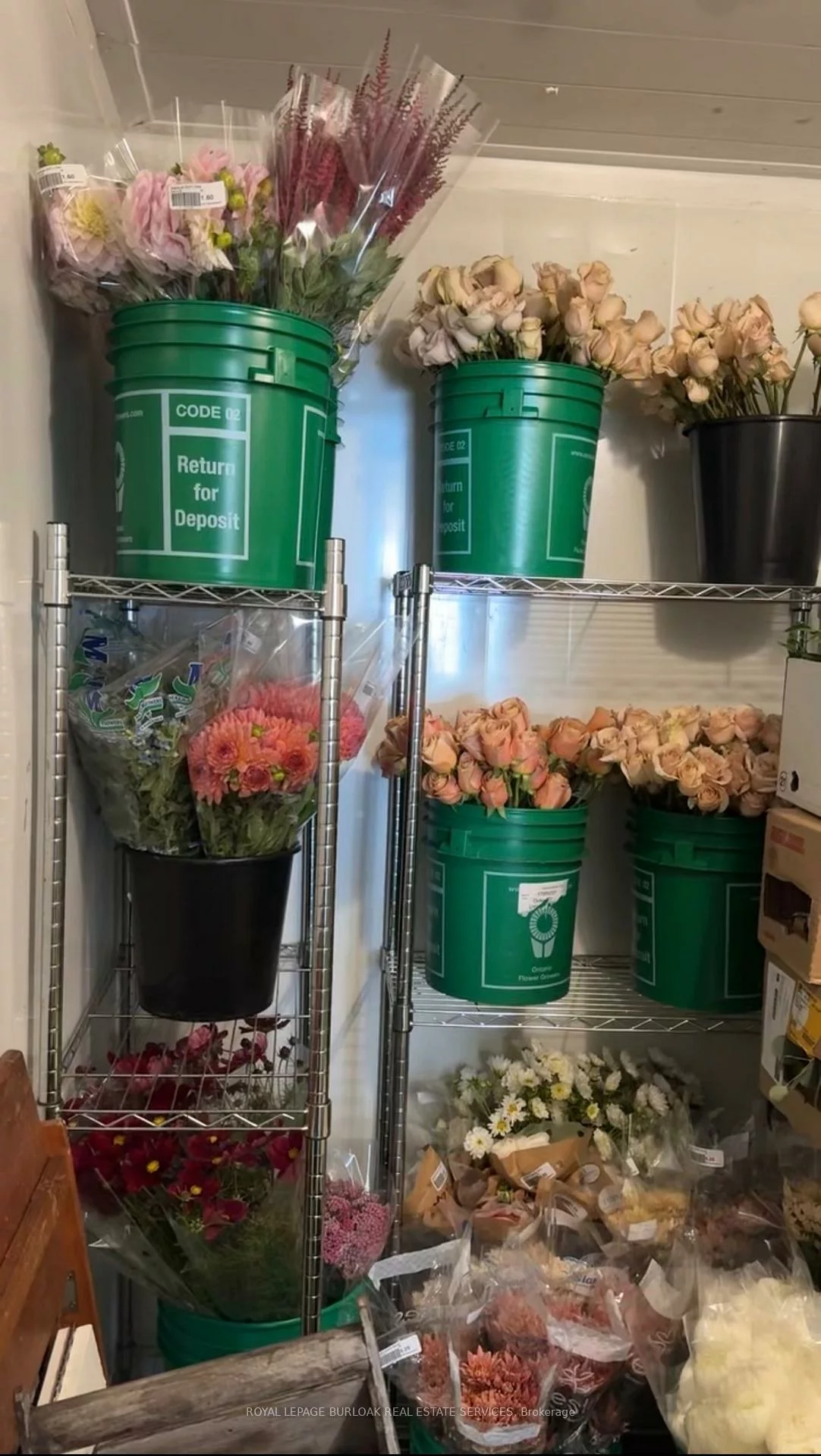 3130, Dundas, Junction Area, Toronto