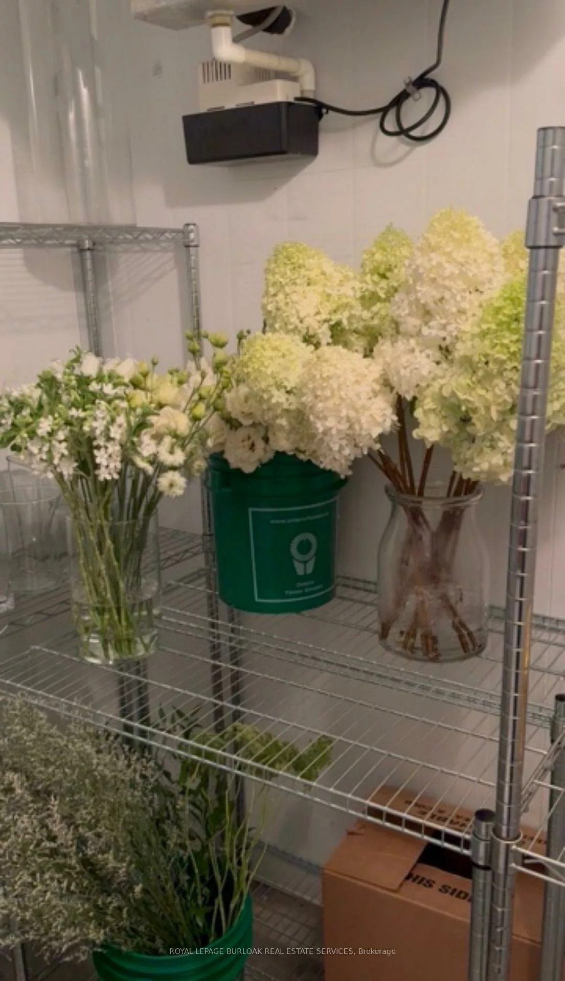 3130, Dundas, Junction Area, Toronto