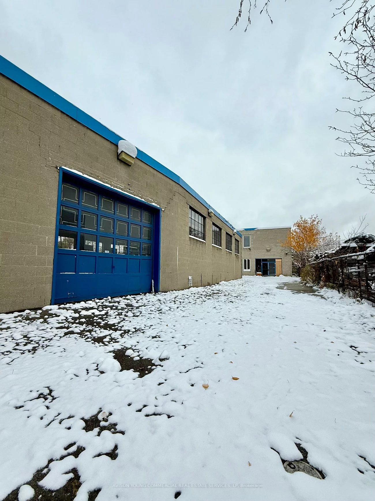 25, Connie, Maple Leaf, Toronto