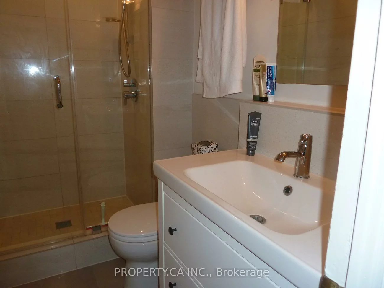 22, Brad, Junction Area, Toronto