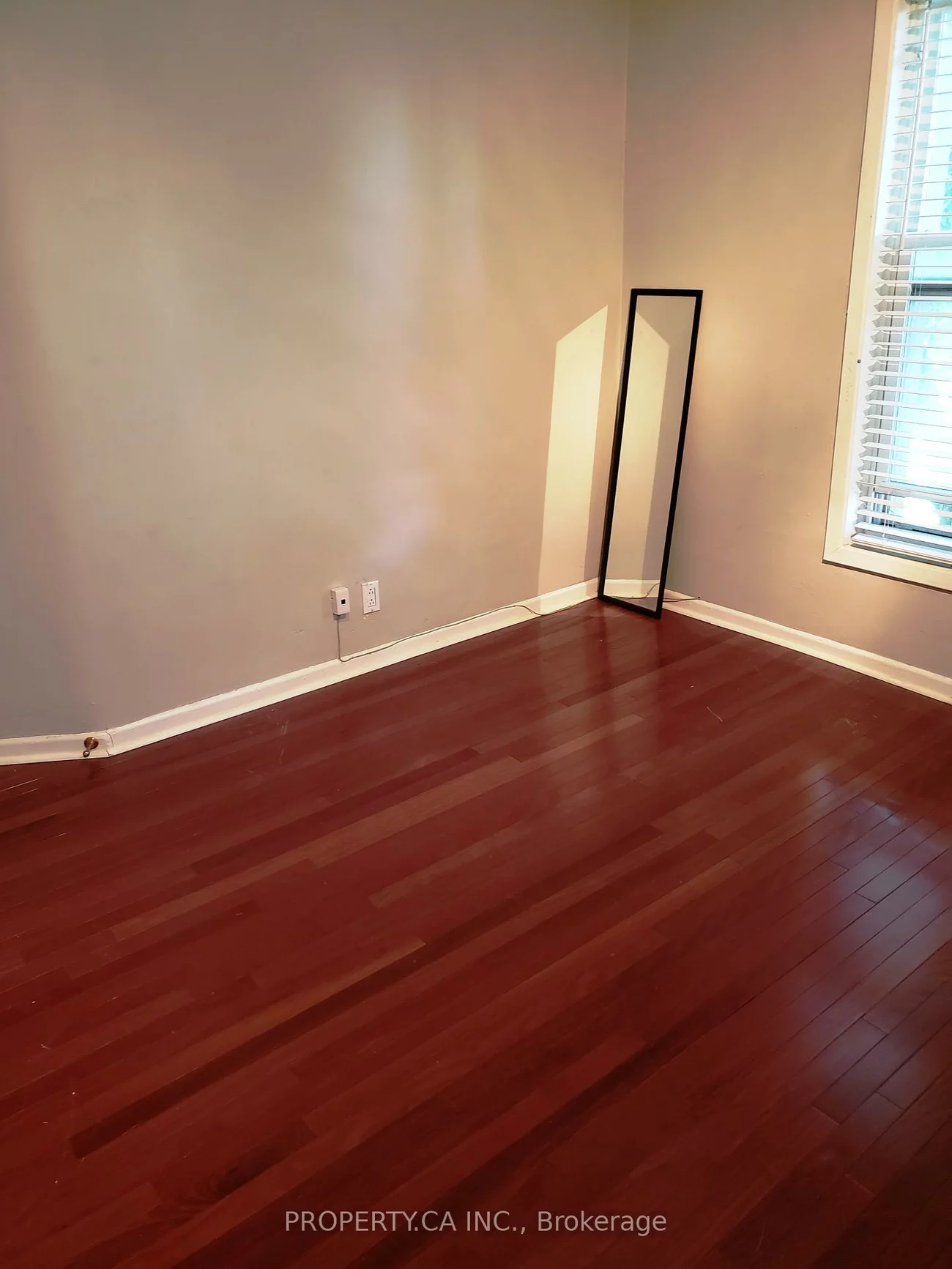 22, Brad, Junction Area, Toronto