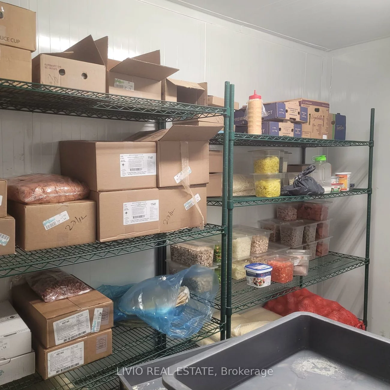 11, Westmore, West Humber-Clairville, Toronto