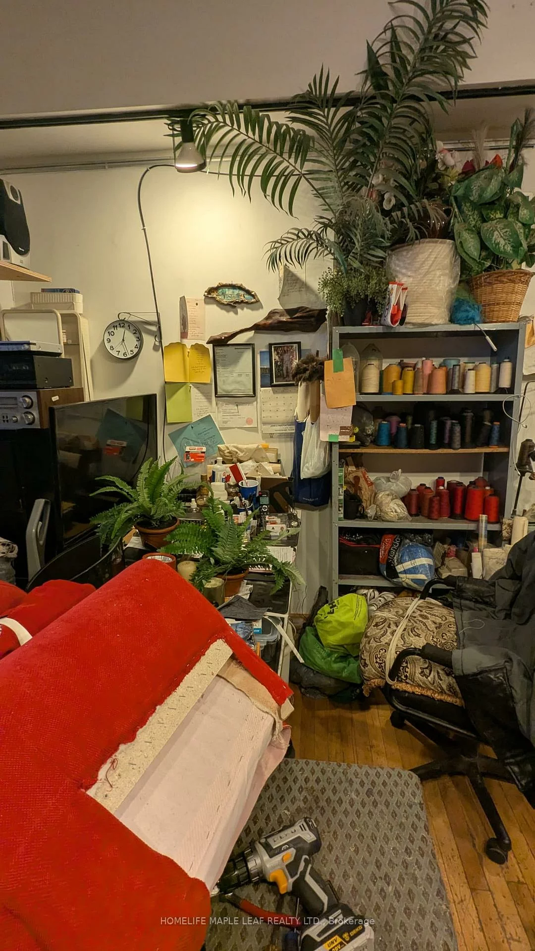 19, John, Weston, Toronto