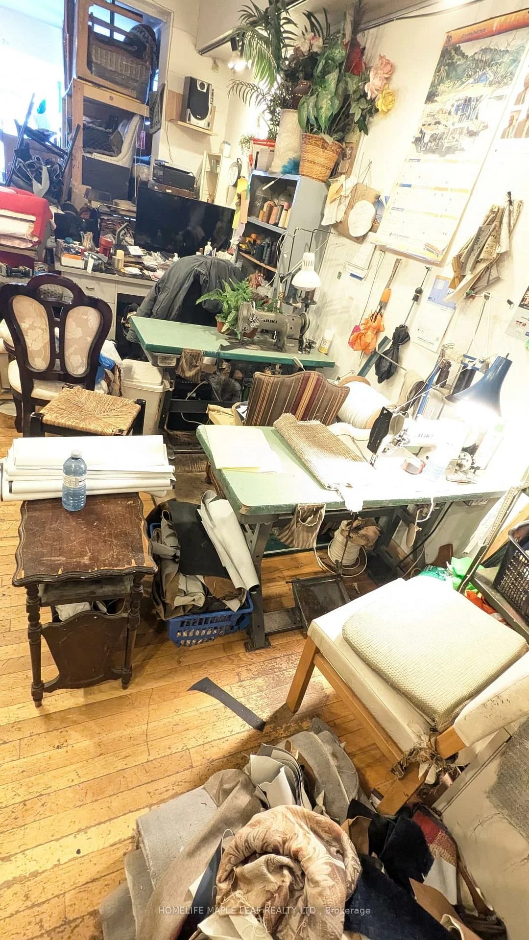 19, John, Weston, Toronto