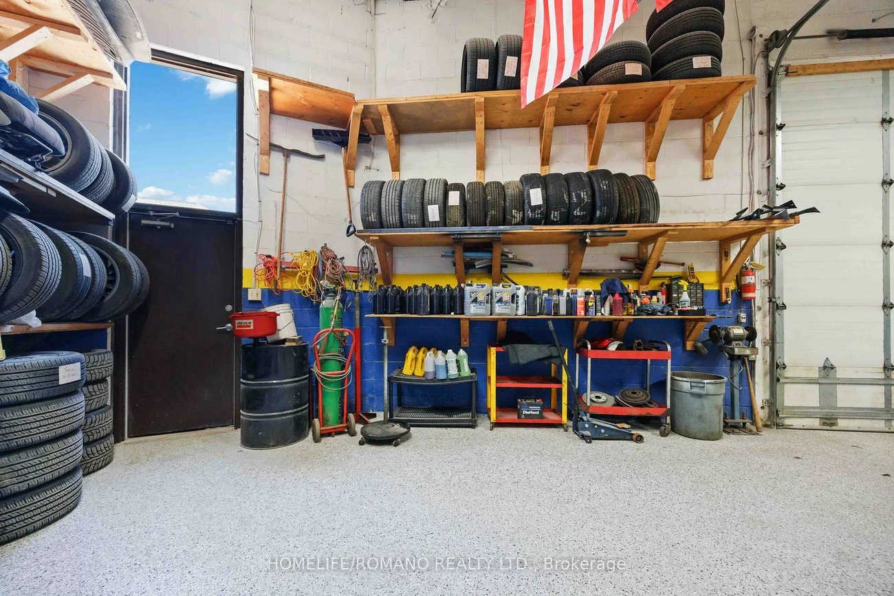 101, Toro, York University Heights, Toronto