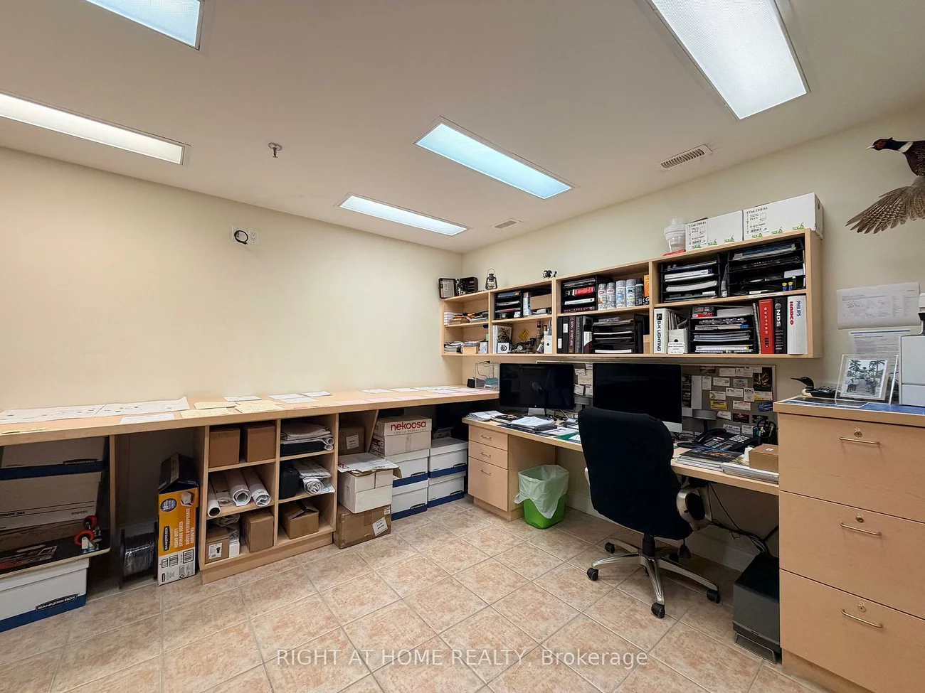 101, Toro, York University Heights, Toronto