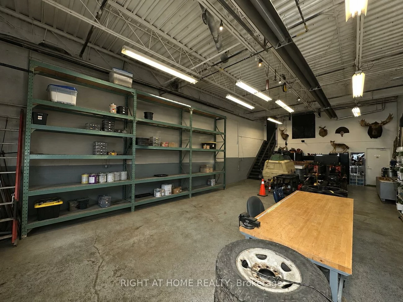 101, Toro, York University Heights, Toronto