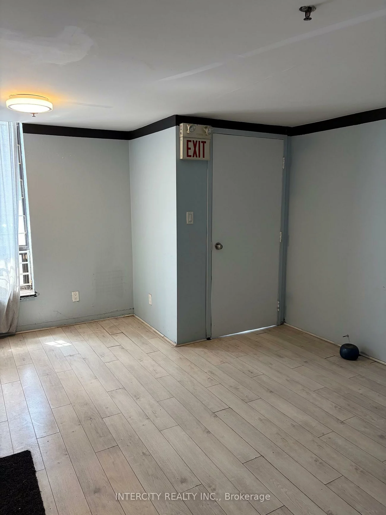 101, Toro, York University Heights, Toronto