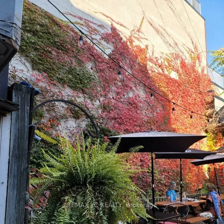 293, Roncesvalles, Roncesvalles, Toronto