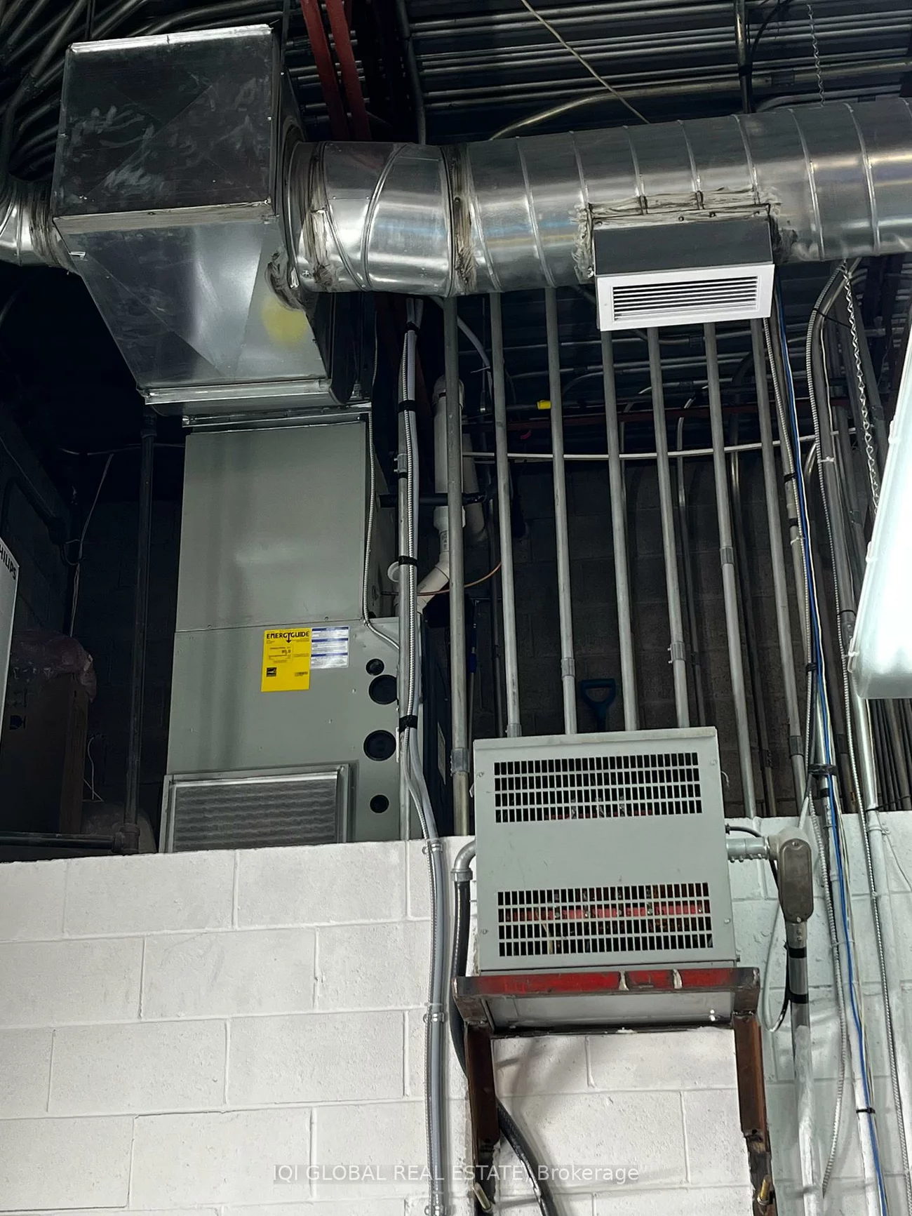 45, Casmir, Concord, Vaughan