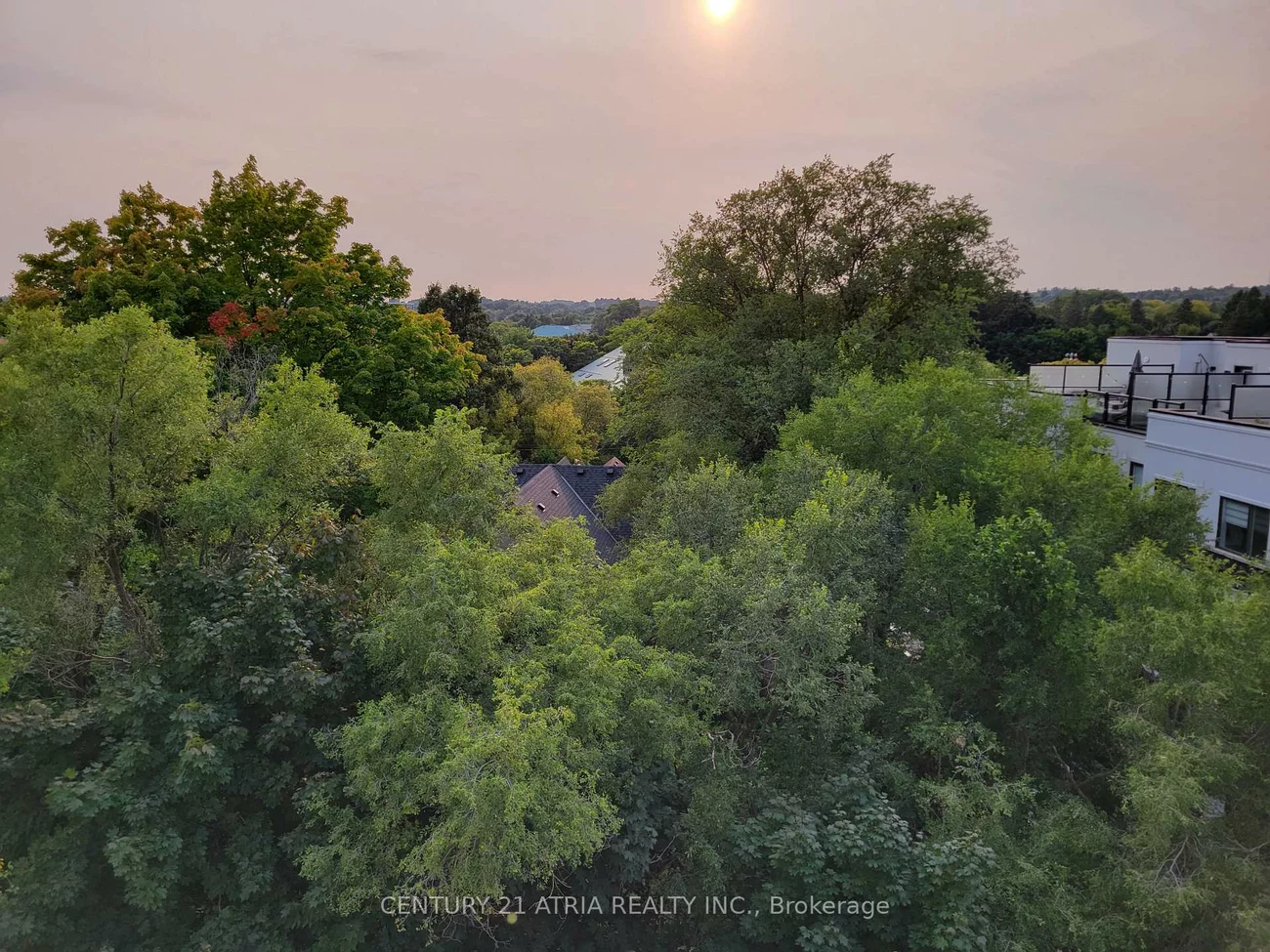 300, Alex Gardner, Aurora Village, Aurora