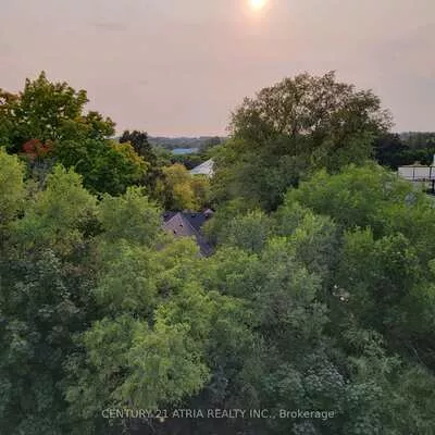 300, Alex Gardner, Aurora Village, Aurora